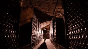 CONDE_INGLES_VIDEO.mp4.00_00_43_22.Imagen fija005