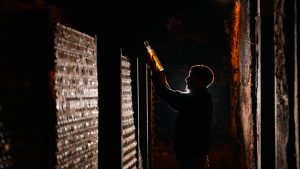 CONDE_INGLES_VIDEO.mp4.00_01_06_01.Imagen fija007