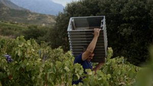 CONDE_INGLES_VIDEO.mp4.00_01_16_12.Imagen fija008